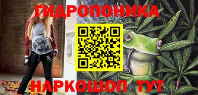 гашик Ачхой-Мартан